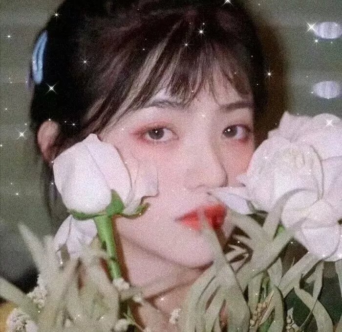 低智商犯罪