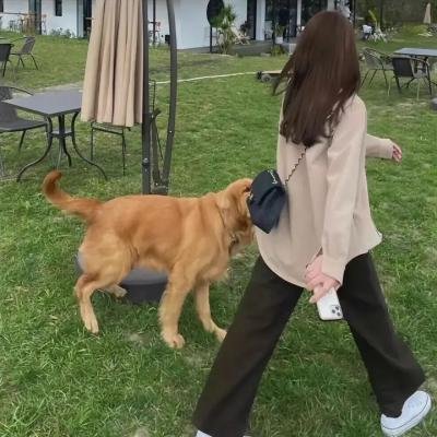 情挑玉女心